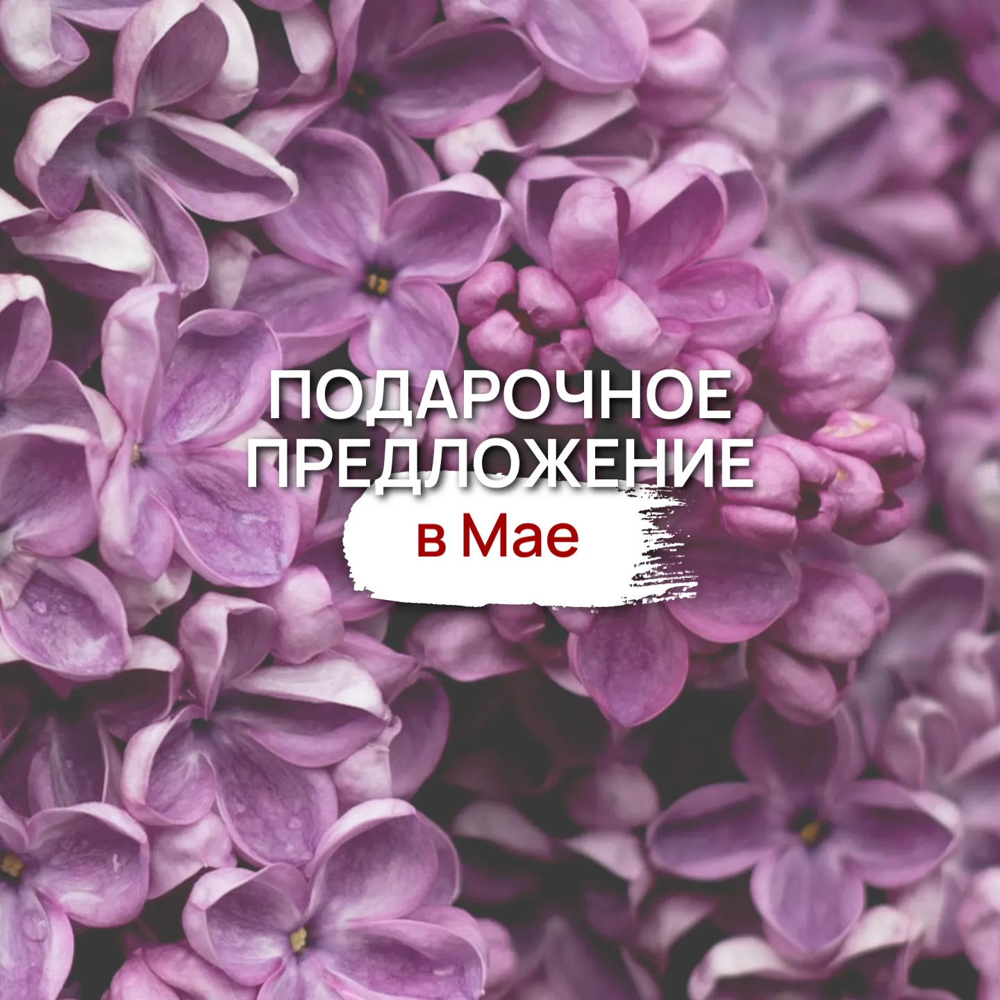 Подарочные предложения в мае