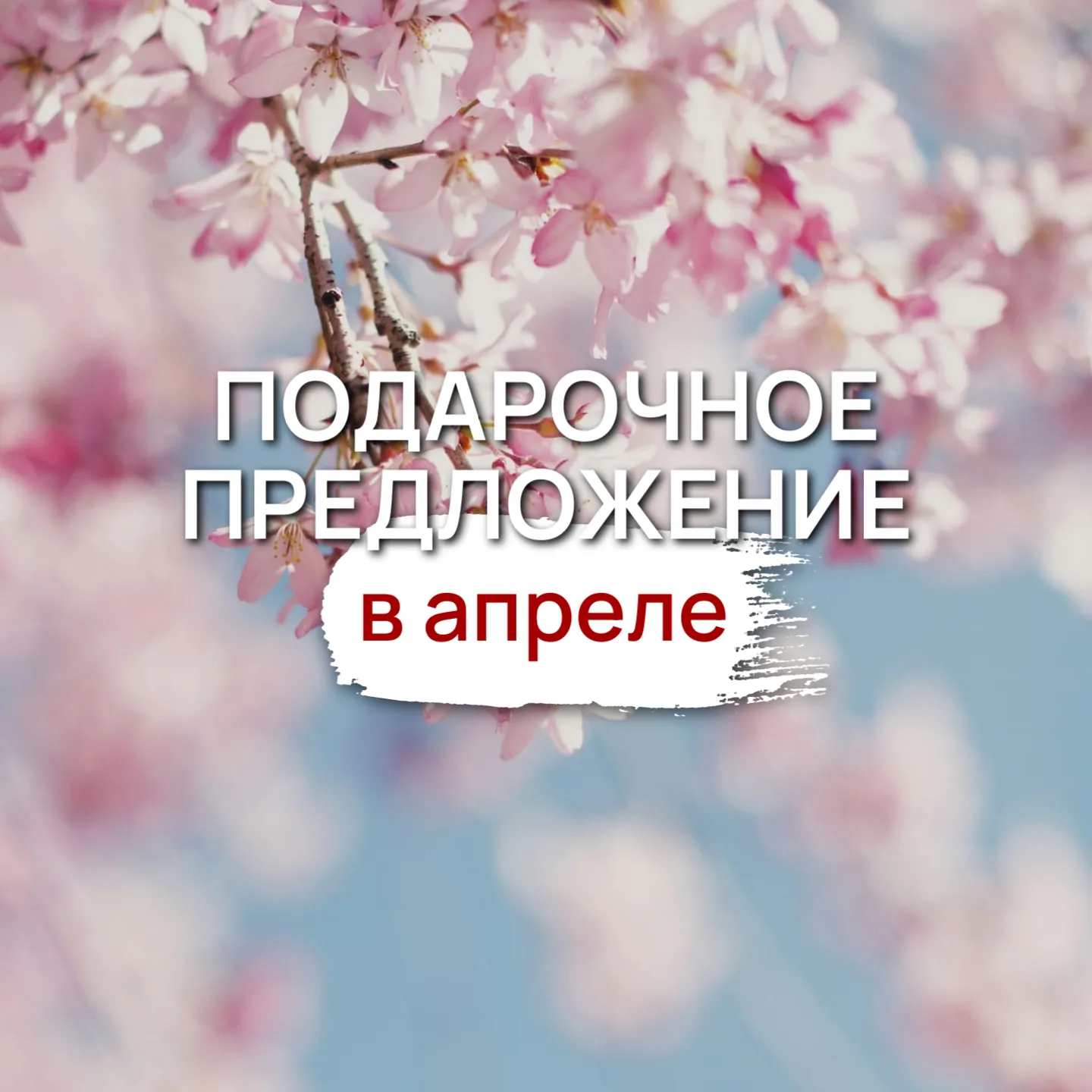 Подарочные предложения в апреле